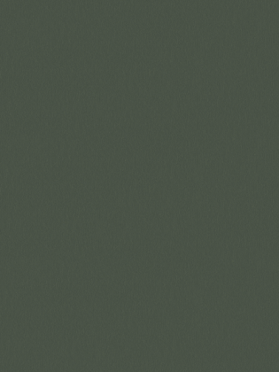 Giấy Dán Tường MORDERN 25042-5 Giấy Dán Tường MORDERN 25042-5