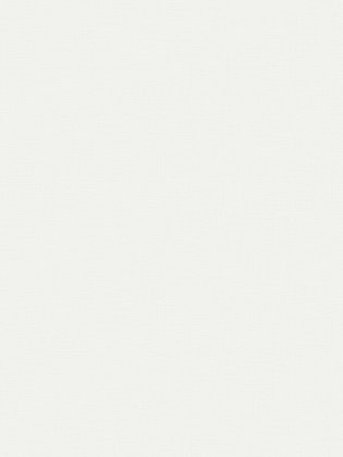 Giấy Dán Tường MORDERN 25044-2 Giấy Dán Tường MORDERN 25044-2