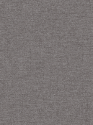 Giấy Dán Tường MORDERN 25044-5 Giấy Dán Tường MORDERN 25044-5