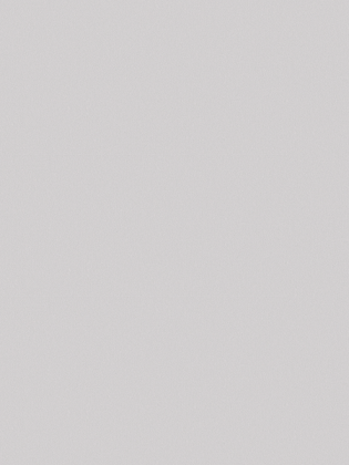 Giấy Dán Tường MORDERN 25049-5 Giấy Dán Tường MORDERN 25049-5