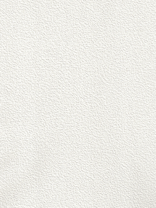 Giấy Dán Tường MORDERN 65000-2 Giấy Dán Tường MORDERN 65000-2