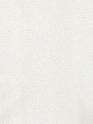 Giấy Dán Tường MORDERN 65000-3 Giấy Dán Tường MORDERN 65000-3