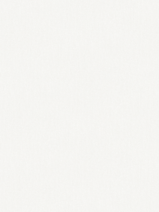 Giấy Dán Tường NEW LUCK II 6009-1 Giấy Dán Tường NEW LUCK II 6009-1