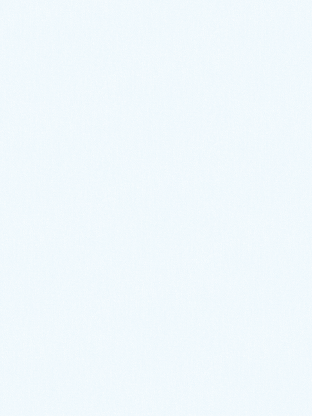 Giấy Dán Tường NEW LUCK II 6009-5