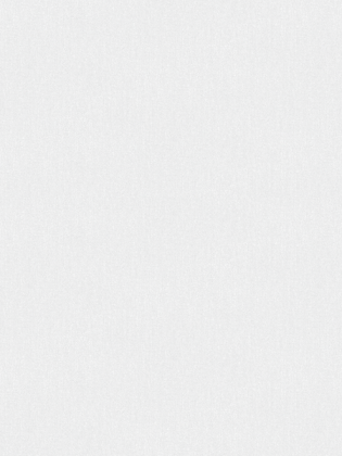 Giấy Dán Tường NEW LUCK II 6009-7 Giấy Dán Tường NEW LUCK II 6009-7