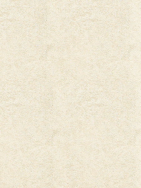 Giấy Dán Tường NEW LUCK II 6206-2