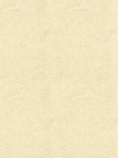 Giấy Dán Tường NEW LUCK II 6206-4 Giấy Dán Tường NEW LUCK II 6206-4