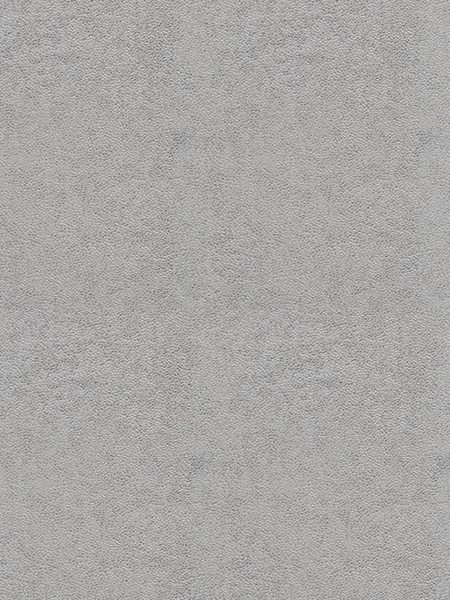 Giấy Dán Tường NEW LUCK II 6206-5 Giấy Dán Tường NEW LUCK II 6206-5