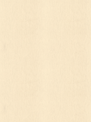 Giấy Dán Tường NEW LUCK II 6207-4 Giấy Dán Tường NEW LUCK II 6207-4