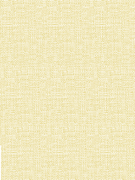 Giấy Dán Tường NEW LUCK II 8004-2