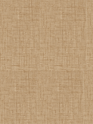 Giấy Dán Tường NEW LUCK II 8012-4 Giấy Dán Tường NEW LUCK II 8012-4