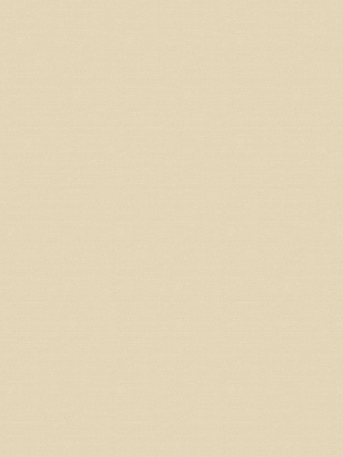 Giấy dán tường V-CONCEPT 7902-3 Giấy dán tường V-CONCEPT 7902-3