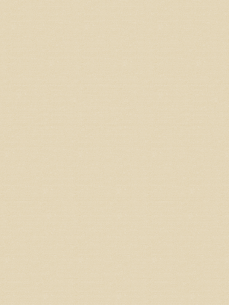 Giấy dán tường V-CONCEPT 7902-3