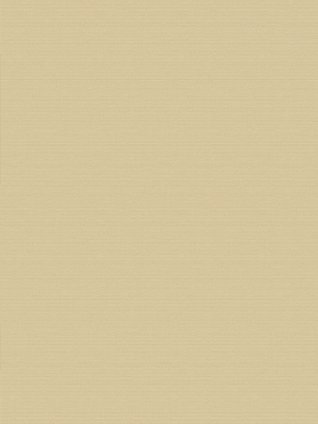 Giấy dán tường V-CONCEPT 7902-5 Giấy dán tường V-CONCEPT 7902-5