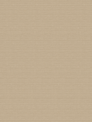 Giấy dán tường V-CONCEPT 7902-6 Giấy dán tường V-CONCEPT 7902-6