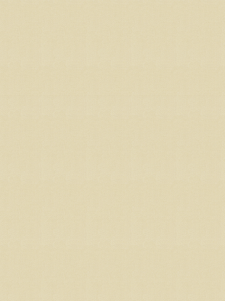 Giấy dán tường V-CONCEPT 7904-3