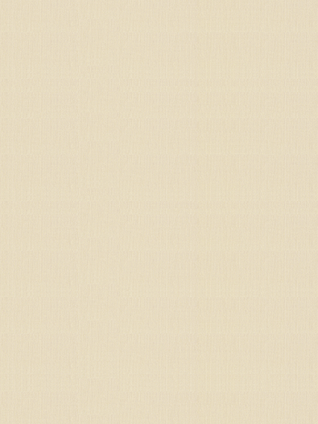 Giấy dán tường V-CONCEPT 7906-2 Giấy dán tường V-CONCEPT 7906-2