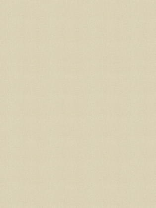 Giấy dán tường V-CONCEPT 7908-3 Giấy dán tường V-CONCEPT 7908-3