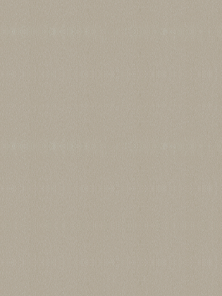 Giấy dán tường V-CONCEPT 7909-5