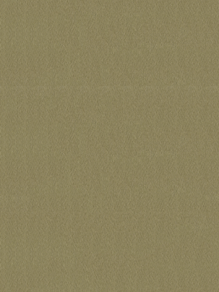 Giấy dán tường V-CONCEPT 7909-6