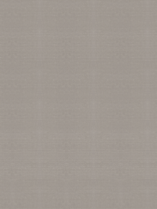 Giấy dán tường V-CONCEPT 7910-5