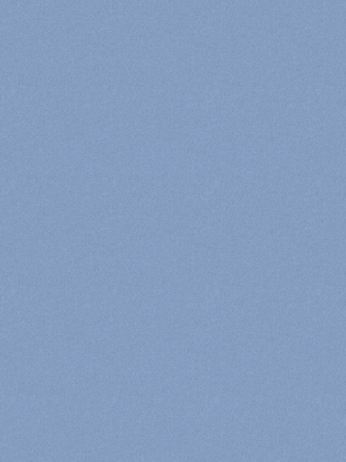 Giấy dán tường V-CONCEPT 7911-5