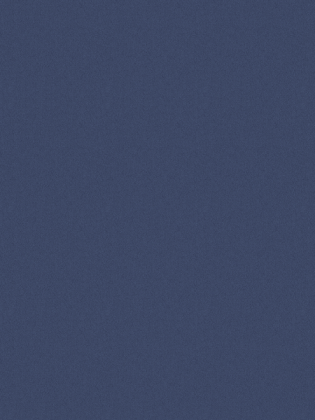 Giấy dán tường V-CONCEPT 7911-6