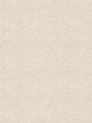 Giấy dán tường V-CONCEPT 7912-3