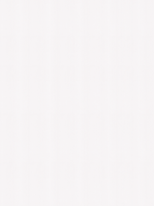 Giấy dán tường V-CONCEPT 7913-1