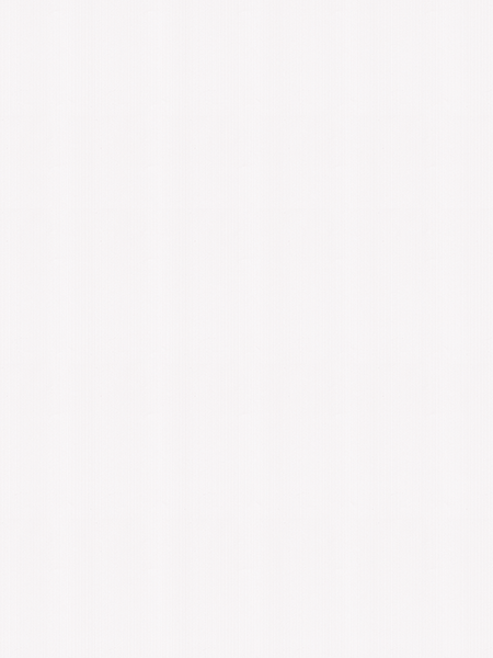 Giấy dán tường V-CONCEPT 7913-1