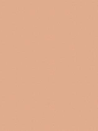 Giấy dán tường V-CONCEPT 7915-7