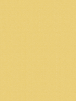 Giấy dán tường V-CONCEPT 7915-8