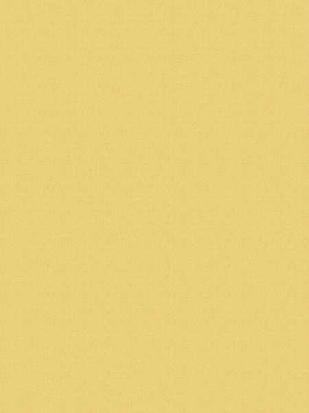 Giấy dán tường V-CONCEPT 7915-8