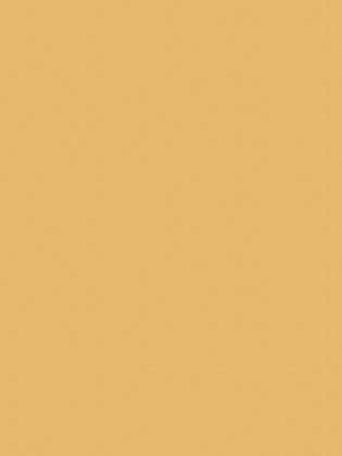 Giấy dán tường V-CONCEPT 7915-9