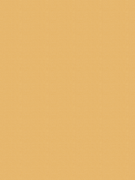 Giấy dán tường V-CONCEPT 7915-9