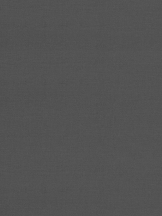 Giấy dán tường Albany 6809-8