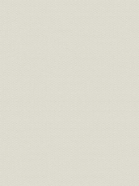 Giấy dán tường Albany 6810-3