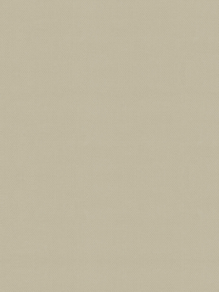 Giấy dán tường Albany 6810-4