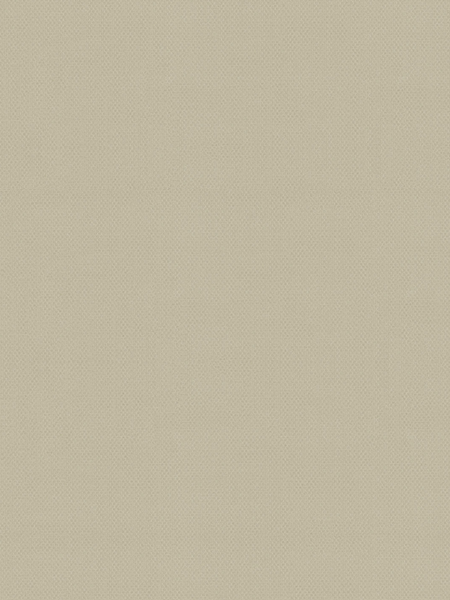 Giấy dán tường Albany 6810-4