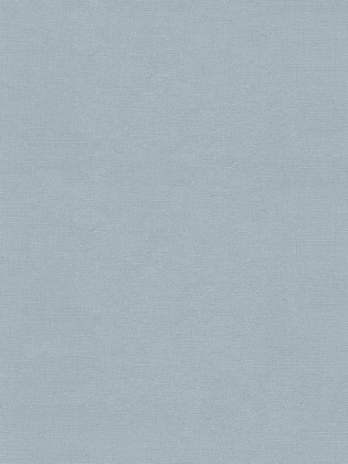 Giấy dán tường Albany 6819-3