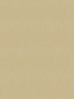 Giấy dán tường DARAE 1810-3 Giấy dán tường DARAE 1810-3