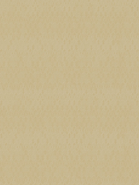 Giấy dán tường DARAE 1810-3 Giấy dán tường DARAE 1810-3