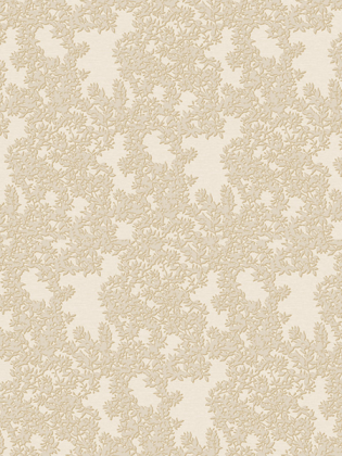 Giấy dán tường DARAE 1812-2 Giấy dán tường DARAE 1812-2