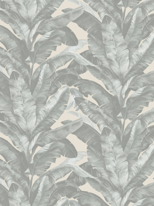 Giấy dán tường DARAE 1815-2 Giấy dán tường DARAE 1815-2