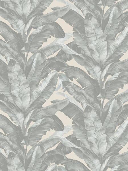 Giấy dán tường DARAE 1815-2 Giấy dán tường DARAE 1815-2