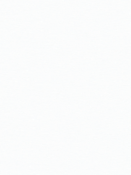 Giấy dán tường Regina 88260-1