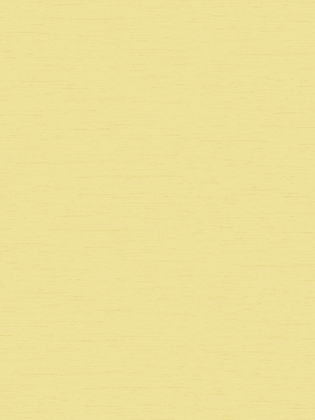 Giấy dán tường Regina 88277-3 Giấy dán tường Regina 88277-3