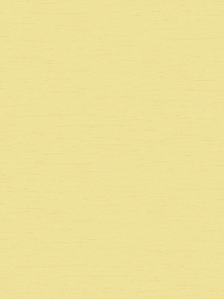 Giấy dán tường Regina 88277-3