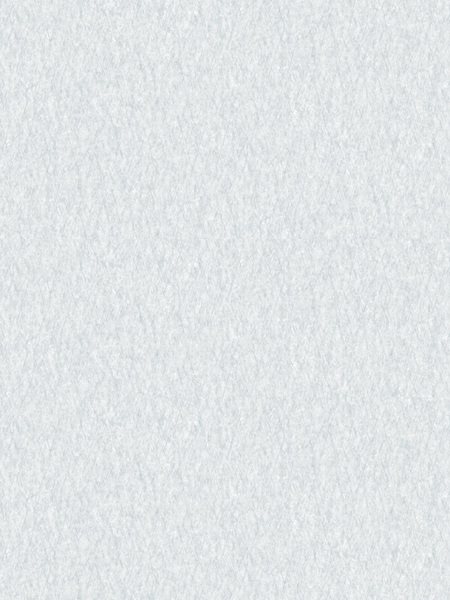 Giấy dán tường Regina 88284-1