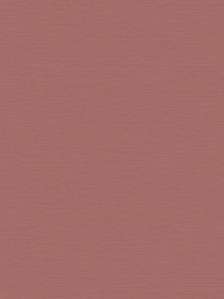 Giấy dán tường Regina 88288-5